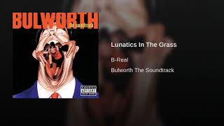 Lunatics In The Grass
