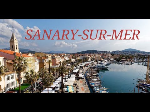 Sanary sur Mer . Whale and Dolphin Watching boat trip