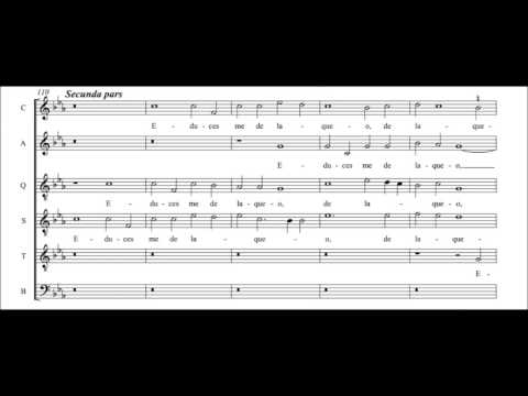 Nicolas Gombert - In te, Domine, speravi