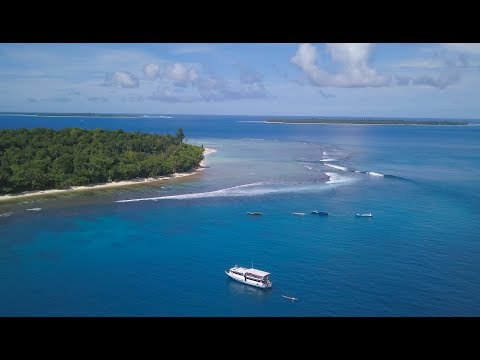 Mentawai Surf Trip With Ocean Dreams 2019