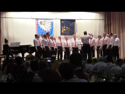Talschaftstreffen Magden 2017  Männerchor Maisprach