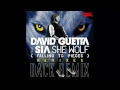 David Guetta feat Sia She Wolf Falling To Pieces ...