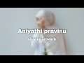 Aniyathi Pravinu Cover Slowed Reverb Fathima Jabbar