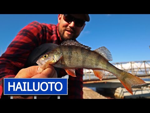 PÄIVÄRETKI HAILUOTOON -  ESITTELLÄÄN KALAPAIKKOJA, TAUKOTUPIA JA EVÄSLEIPIÄ