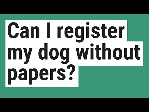Can I register my dog without papers?