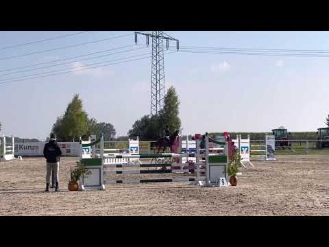 ZARA BLUE (5yo Zirocco Blue) 9.10.21 Langenau - SPF L 8,2