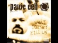 Panic Cell   Hillbilly