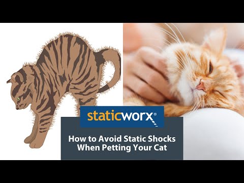 YouTube video about: How to reduce static on my cat?