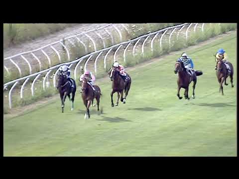 Galoppo 08/07/2020 - 6ª corsa