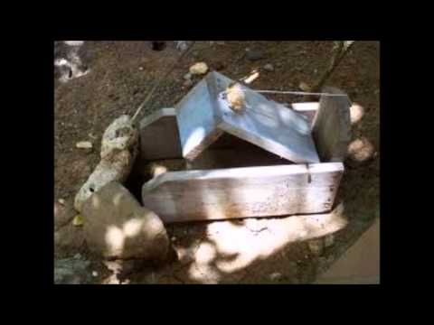 OTK FEAT DGDG ET ARTIANI - WOTè LOKAL extrait de l'album "CHIMEN MONA"