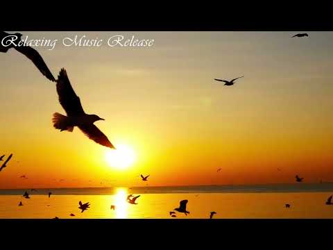Best Compilation Of Sunsets And Time Lapse Of Sky Views Sleep And Relax Music Screensaver 4 Hours