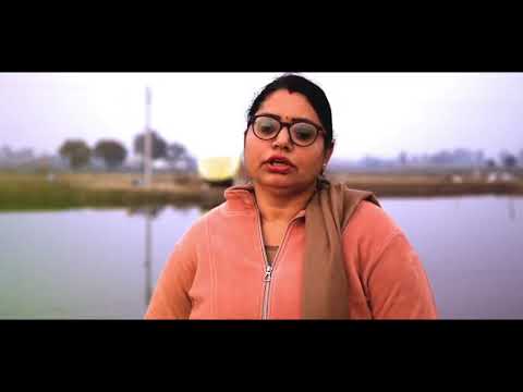 Shrimp farming at District Rohtak.