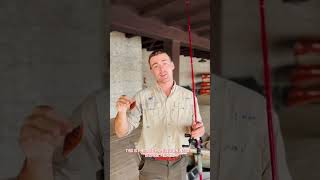 Red Rattle-Trap❤️                                                            #fishing #bassfishing