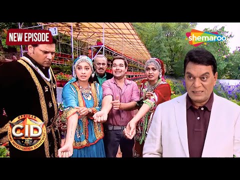 CID Officer Sherya और Purvi क्यों लिखा DCP Chitrole की नाम अपने हाथों में || CID | Latest Episode