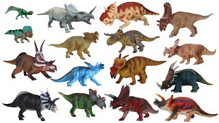 Ceratopsian Dinosaurs - The Kids Picture Show