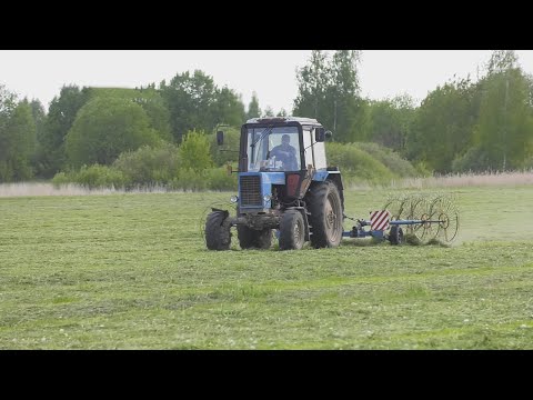 Как проходит заготовка кормов в одном из местных хозяйств на Гомельщине видео