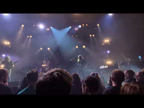 The Nerve Tattoo/Hyena