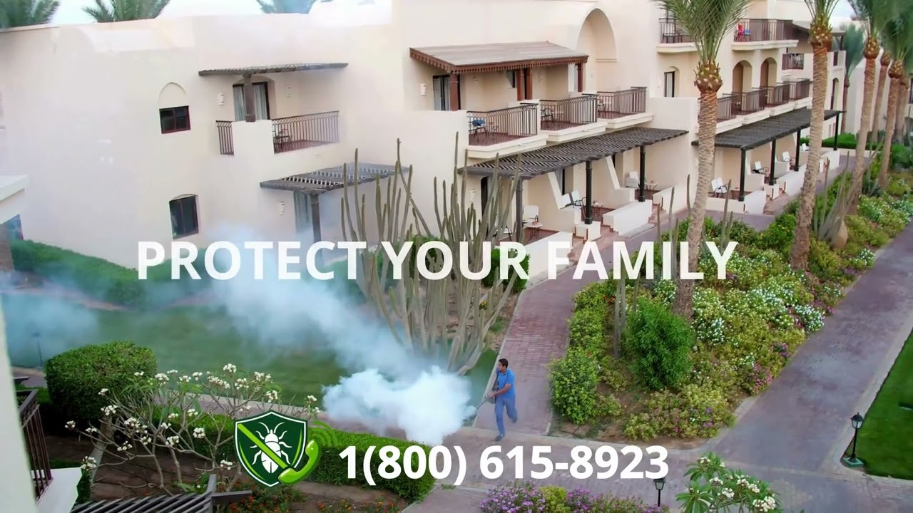 Top 3 Exterminators in Diamond Bar