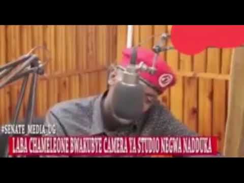 Chameleon runs away from studio after being roasted by caller