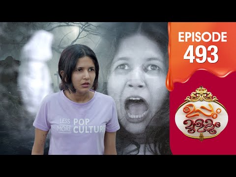 Uppum Mulakum 3 | Flowers | EP #493
