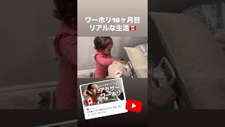 #ワーホリ #カップル #カナダ #カナダワーホリ #トロントワーホリ