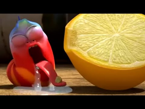 LARVA - SOUR LEMON | Larva 2019 | Cartoons For Children | Larva Cartoon | LARVA Official