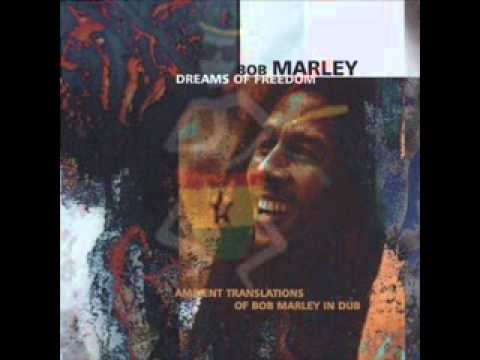 Bob Marley Midnight Ravers Dub.wmv