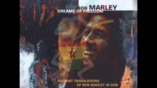 Bob Marley Midnight Ravers Dub.wmv