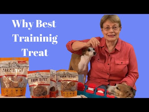 Diamond Dog Training LLC video.