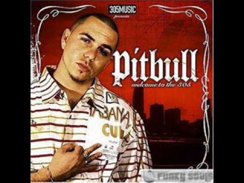Pitbull ft. Akon & Fatman Scoop - Shut It Down Sequel