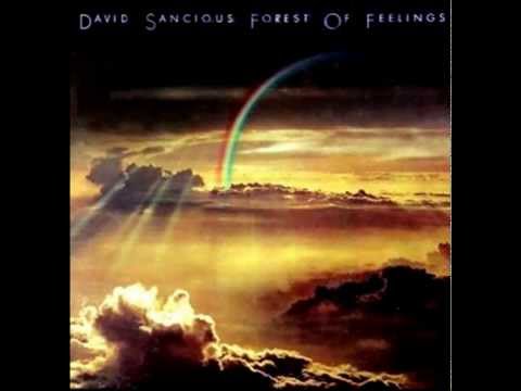 DAVID SANCIOUS-FOREST OF FEELINGS(full album)