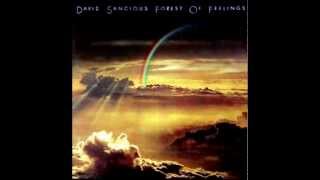 DAVID SANCIOUS-FOREST OF FEELINGS(full album)