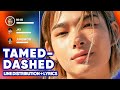 ENHYPEN - Tamed-Dashed (Line Distribution + Lyrics Karaoke) PATREON REQUESTED