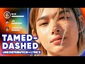 ENHYPEN Tamed Dashed Line Distribution Lyrics Karaoke PATREON REQUESTED