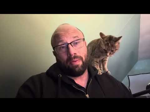 Novembre and “Words of Indigo” Review/First Impressions