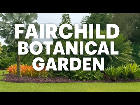 Tropical Garden Tour: Fairchild Botanical Gardens Miami