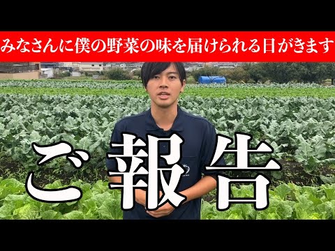 イラクサとトマトの植え付け: イラクサの葉を植え穴に入れるのはなぜですか?  庭園