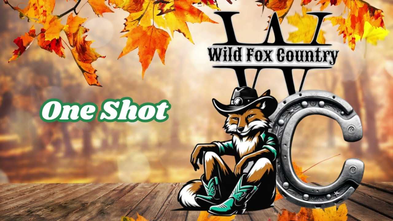 One Shot - Démonstration