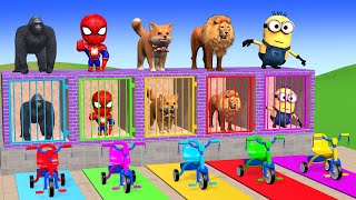 Long Slide Game with Cow Elephant Gorilla Hippopotamus Tiger 3d Animal Game Funny 3d Animals