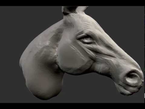 30 Min Horse Speed Sculpt - Zbrush