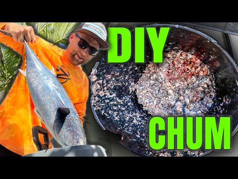 How to make Saltwater Fish Chum | DIY