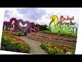 Miracle Garden Paradise United Arab Emirates