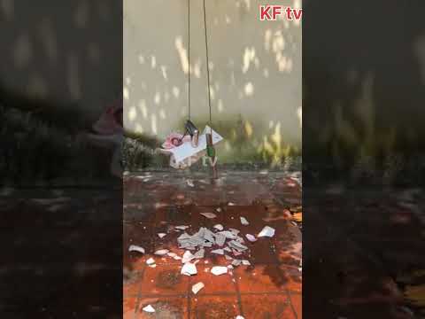 Toy Learning Video for Kids - Paw Patrol True Metal Vehicles Biggest Race!KF tv