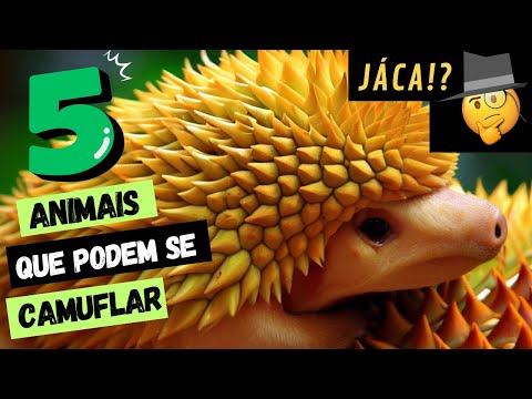 MESTRES DA CAMUFLAGEM: Conheça os animais que podem desaparecer à olho nu! 👀🐸
