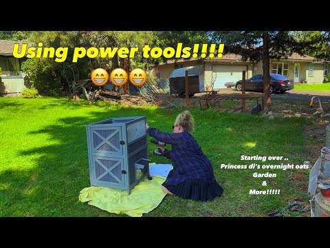 Starting Over… || best oats! Garden update & building a temu cat house? Worth it?!?