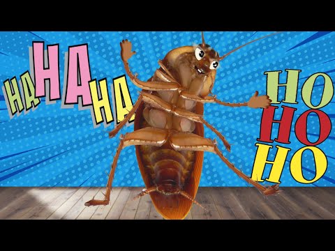 A BARATA DIZ QUE TEM |🎵 Música infantil 🎵 | A baratinha