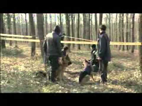 KAYIP ARANIYOR - TANITIM - BÖLÜM 4