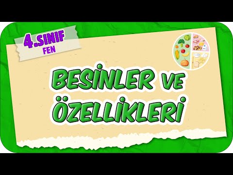 Besinler ve Özellikleri 📗 4.Sınıf Fen #2025