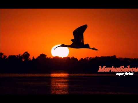 Marius Sabou - Super fericit ( official track)