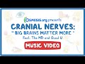 Cranial Nerves Music Video: Big Brains Matter More